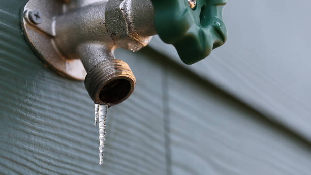 Best Plumbing Inspection Services  in Bayshore Gardens, FL
