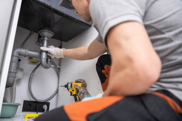 Best Local Plumber Services  in Bayshore Gardens, FL